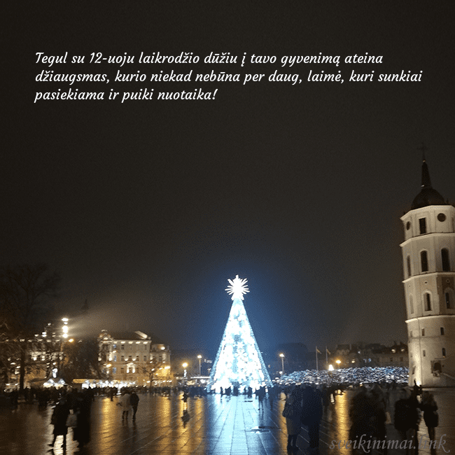 Atvirukas Kalėdos Vilniuje, Naujieji metai