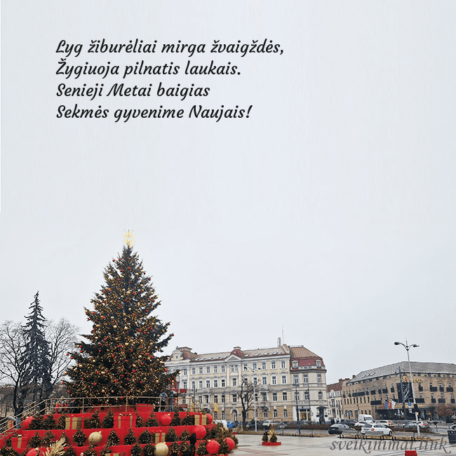 Vilniaus kalėdinė eglutė 2025