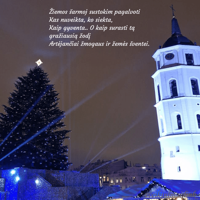 Vilniaus eglutė 2023 Žiemos šarmoj sustokim pagalvoti
Kas nuveikta, ko Vilniaus eglutė 2023