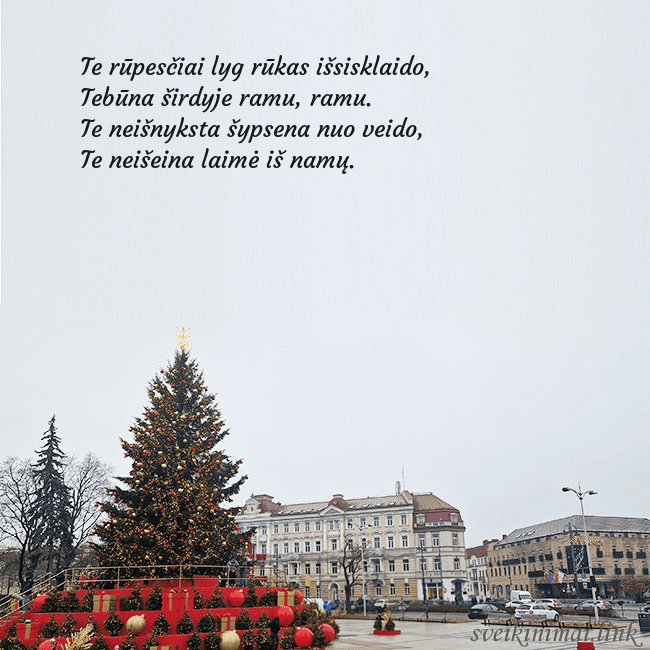 Vilniaus kalėdinė eglutė 2025