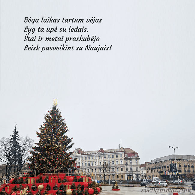 Vilniaus kalėdinė eglutė 2025