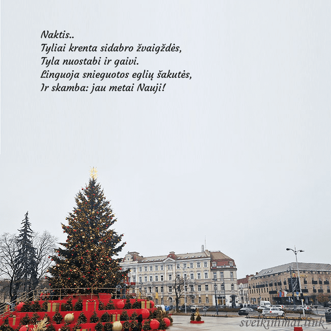 Vilniaus kalėdinė eglutė 2025