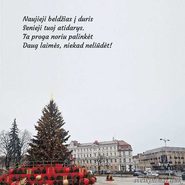 Vilniaus kalėdinė eglutė 2025