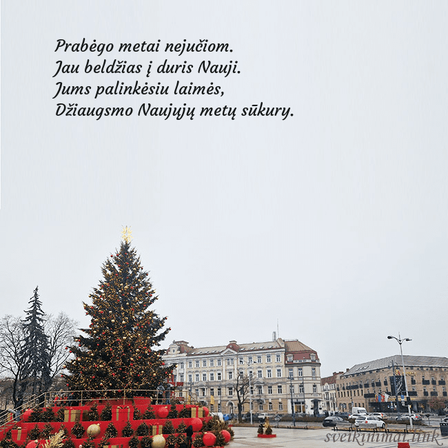 Vilniaus kalėdinė eglutė 2025