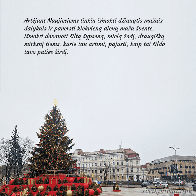 Vilniaus kalėdinė eglutė 2025