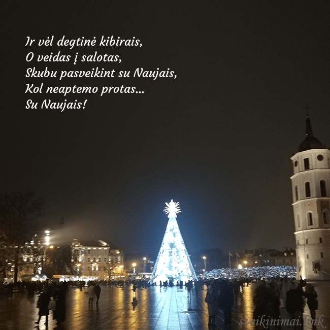 Atvirukas Kalėdos Vilniuje, Naujieji metai Ir vėl degtinė kibirais,
O veidas į salotas,
Sku Atvirukas Kalėdos Vilniuje, Naujieji metai