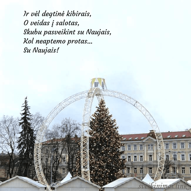 Kalėdos Vilniuje 2024 Ir vėl degtinė kibirais,
O veidas į salotas,
Sku Kalėdos Vilniuje 2024