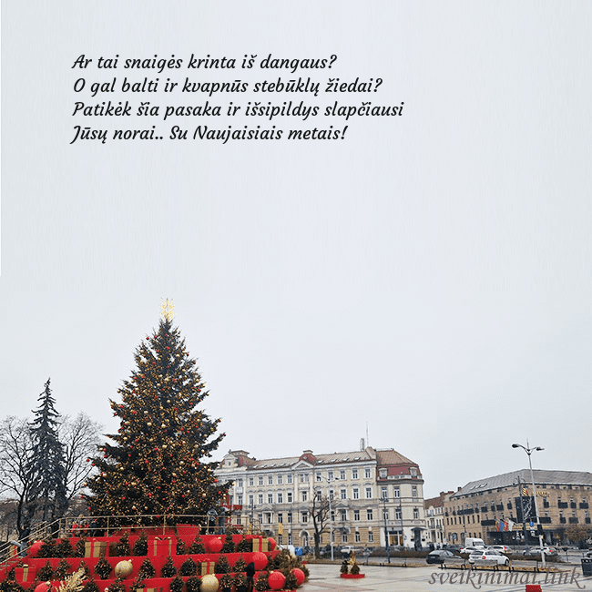Vilniaus kalėdinė eglutė 2025