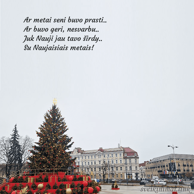 Vilniaus kalėdinė eglutė 2025