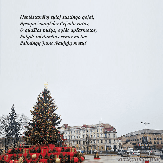 Vilniaus kalėdinė eglutė 2025