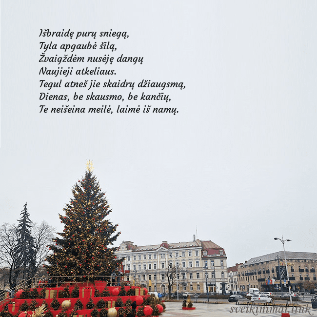 Vilniaus kalėdinė eglutė 2025