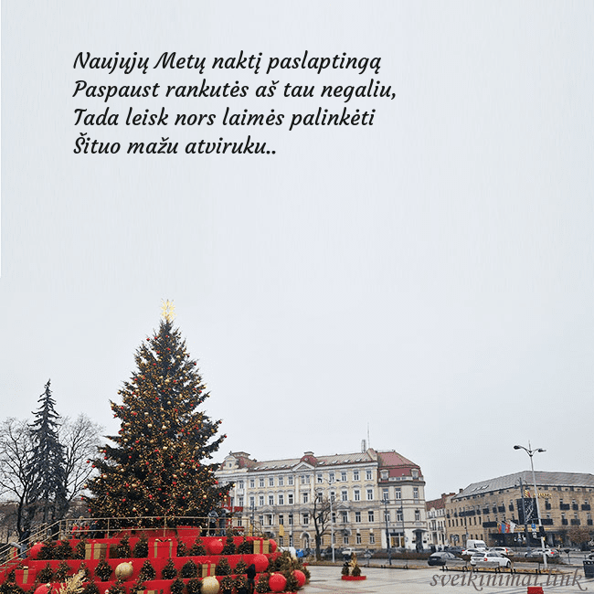 Vilniaus kalėdinė eglutė 2025 Naujųjų Metų naktį paslaptingą
Paspaust rankutės a Vilniaus kalėdinė eglutė 2025