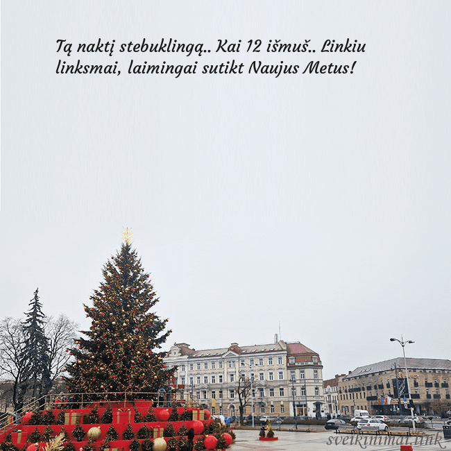 Vilniaus kalėdinė eglutė 2025