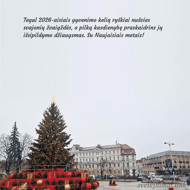 Vilniaus kalėdinė eglutė 2025