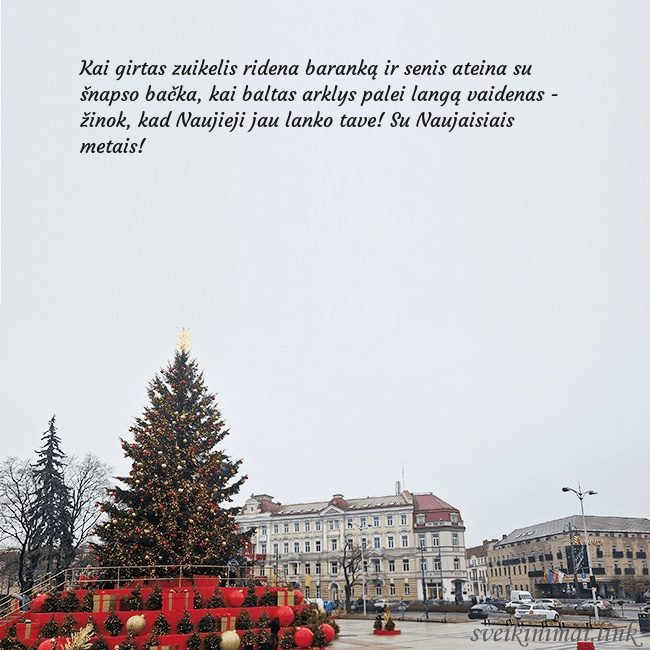 Vilniaus kalėdinė eglutė 2025