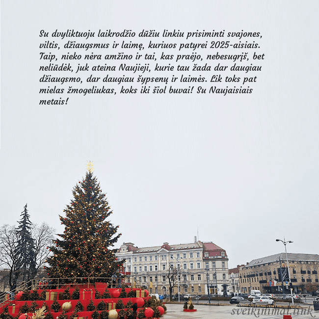 Vilniaus kalėdinė eglutė 2025