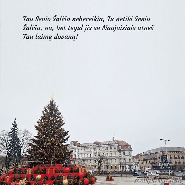 Vilniaus kalėdinė eglutė 2025