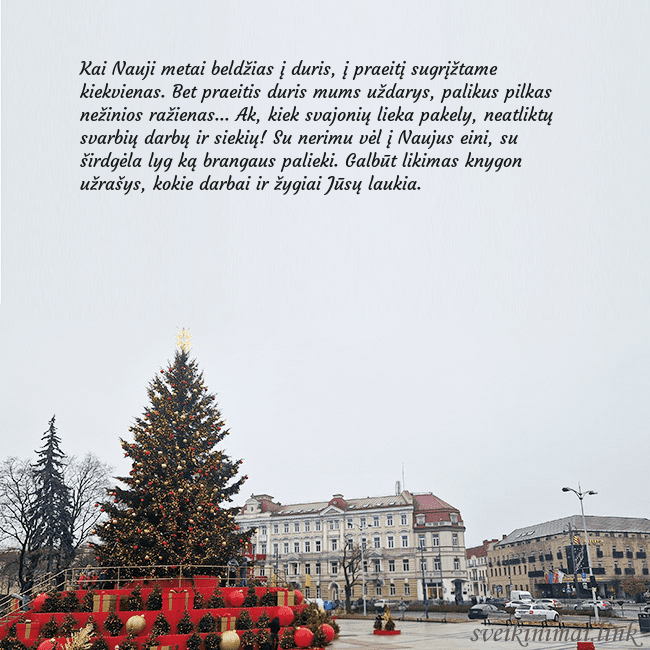 Vilniaus kalėdinė eglutė 2025