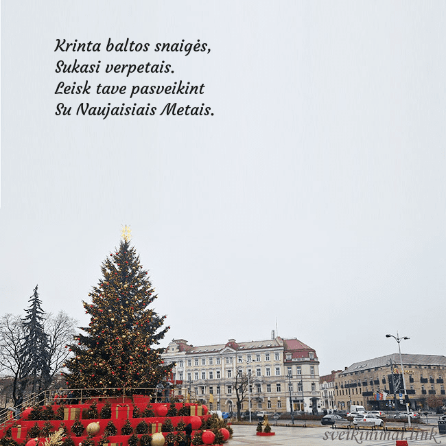 Vilniaus kalėdinė eglutė 2025