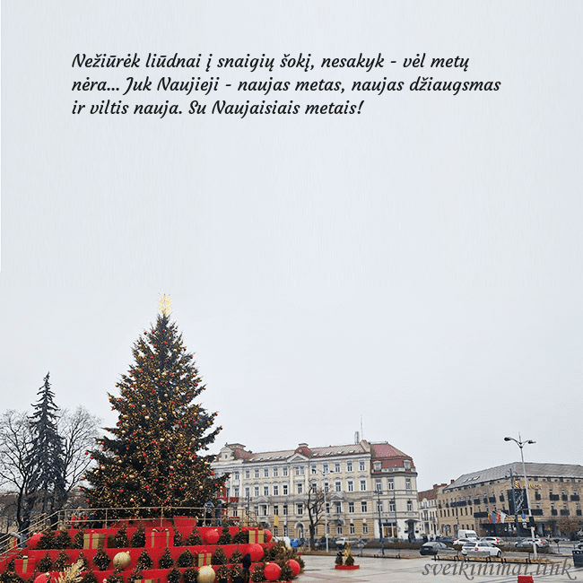 Vilniaus kalėdinė eglutė 2025