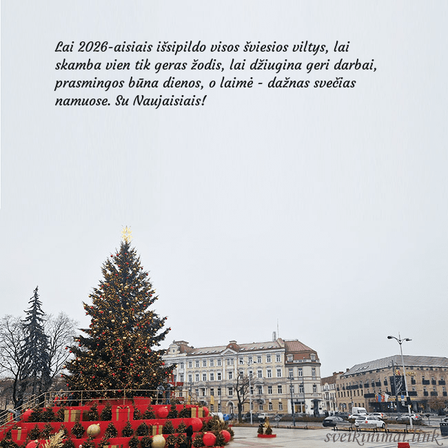 Vilniaus kalėdinė eglutė 2025