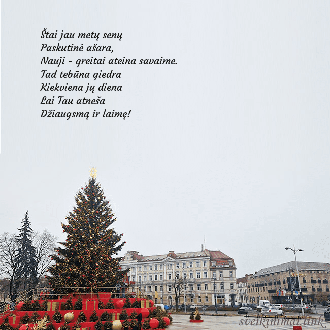 Vilniaus kalėdinė eglutė 2025