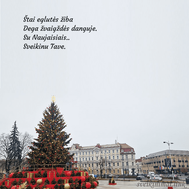 Vilniaus kalėdinė eglutė 2025