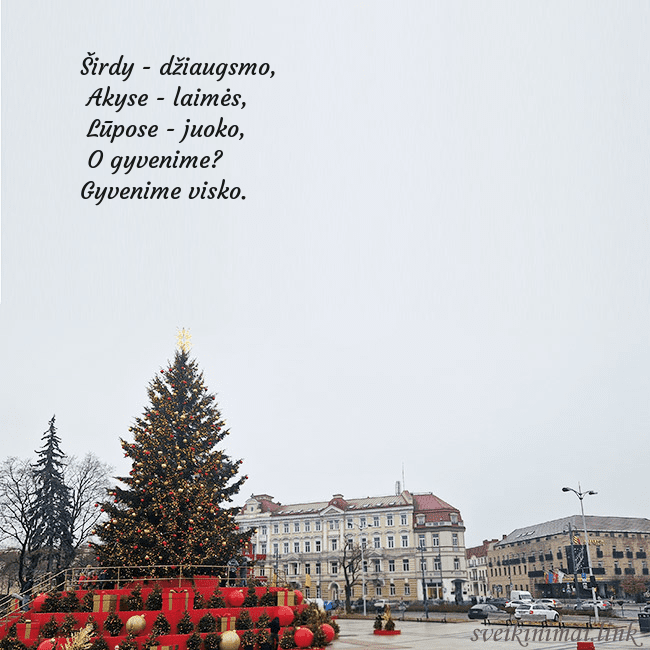 Vilniaus kalėdinė eglutė 2025