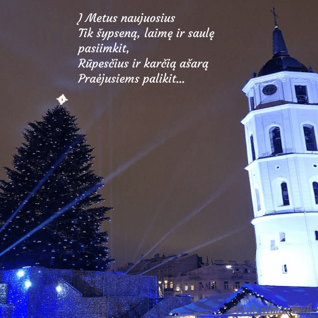 Vilniaus eglutė 2023 Į Metus naujuosius
Tik šypseną, laimę ir saulę pa Vilniaus eglutė 2023