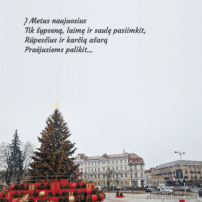 Vilniaus kalėdinė eglutė 2025