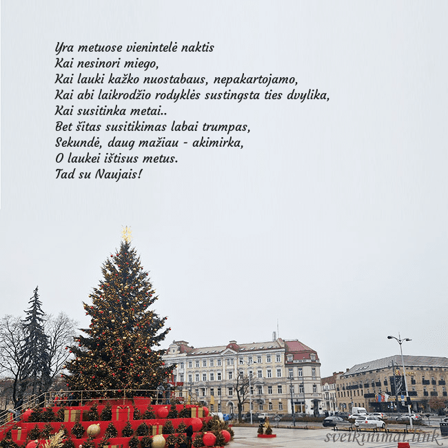 Vilniaus kalėdinė eglutė 2025