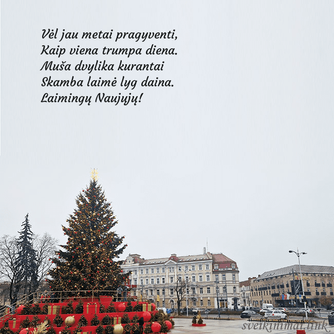 Vilniaus kalėdinė eglutė 2025