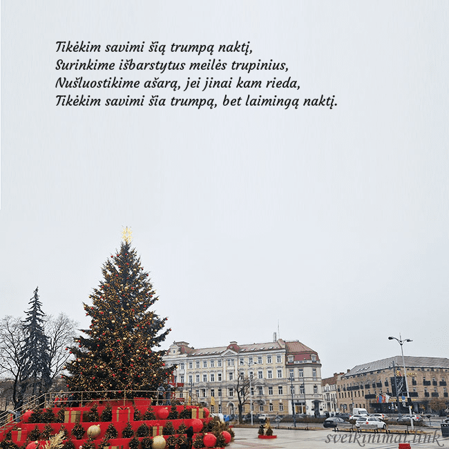 Vilniaus kalėdinė eglutė 2025