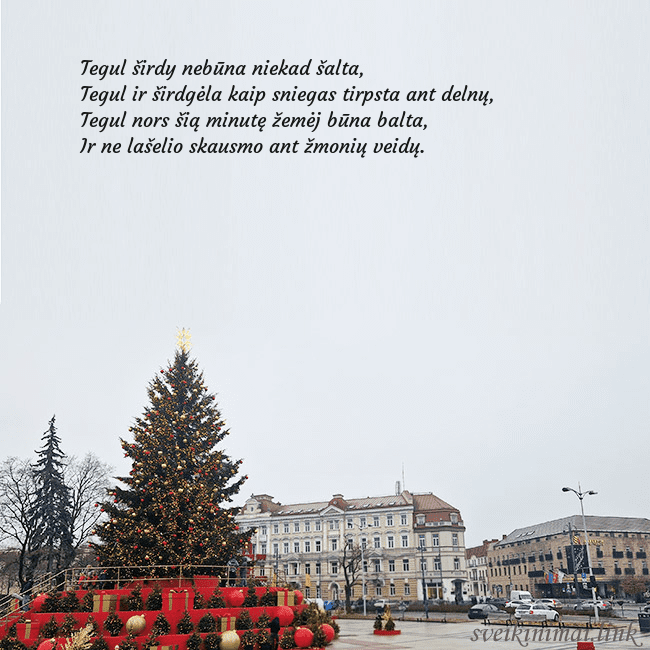 Vilniaus kalėdinė eglutė 2025