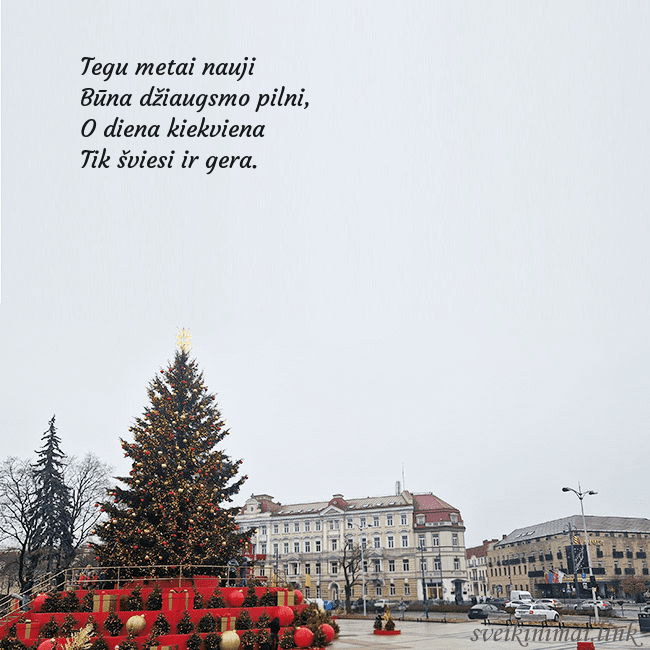 Vilniaus kalėdinė eglutė 2025