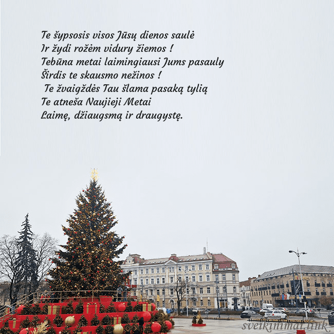 Vilniaus kalėdinė eglutė 2025