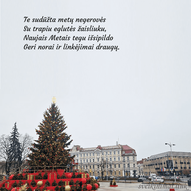 Vilniaus kalėdinė eglutė 2025