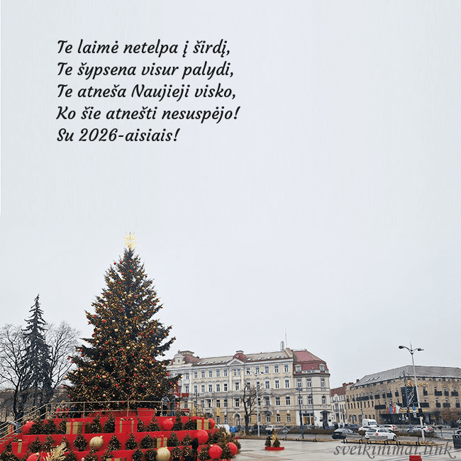 Vilniaus kalėdinė eglutė 2025