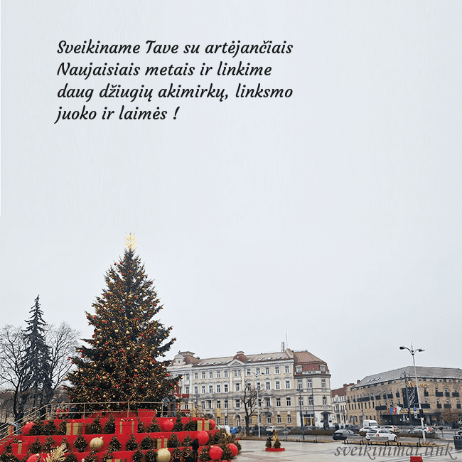 Vilniaus kalėdinė eglutė 2025