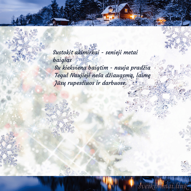Snaigės Sustokit akimirkai - senieji metai baigias
Su kie Snaigės