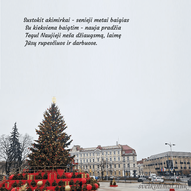 Vilniaus kalėdinė eglutė 2025 Sustokit akimirkai - senieji metai baigias
Su kie Vilniaus kalėdinė eglutė 2025