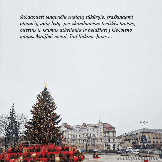 Vilniaus kalėdinė eglutė 2025