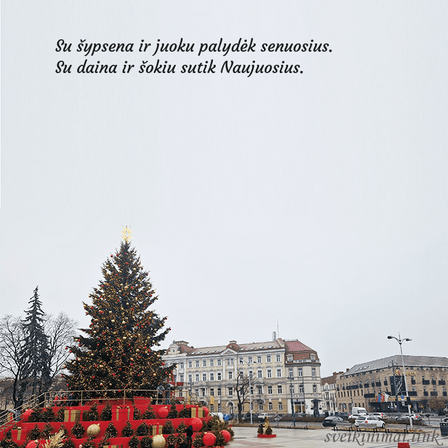 Vilniaus kalėdinė eglutė 2025