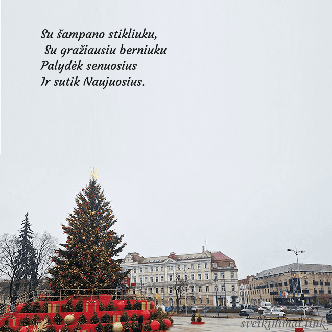 Vilniaus kalėdinė eglutė 2025