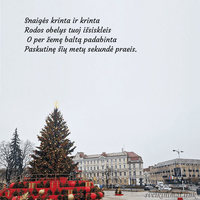 Vilniaus kalėdinė eglutė 2025 Snaigės krinta ir krinta
Rodos obelys tuoj išsisk Vilniaus kalėdinė eglutė 2025