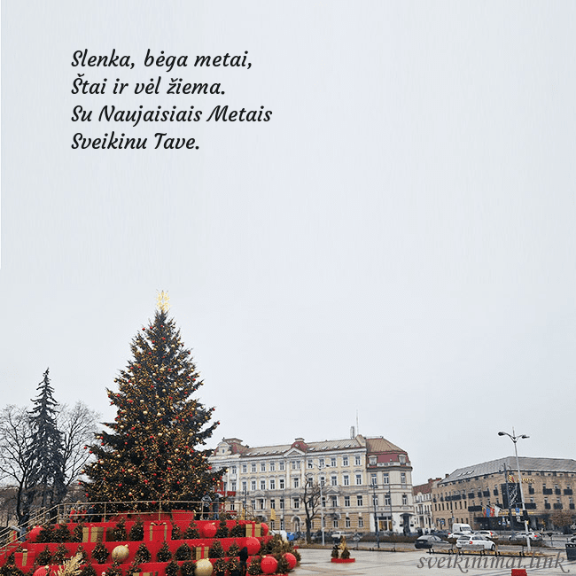 Vilniaus kalėdinė eglutė 2025