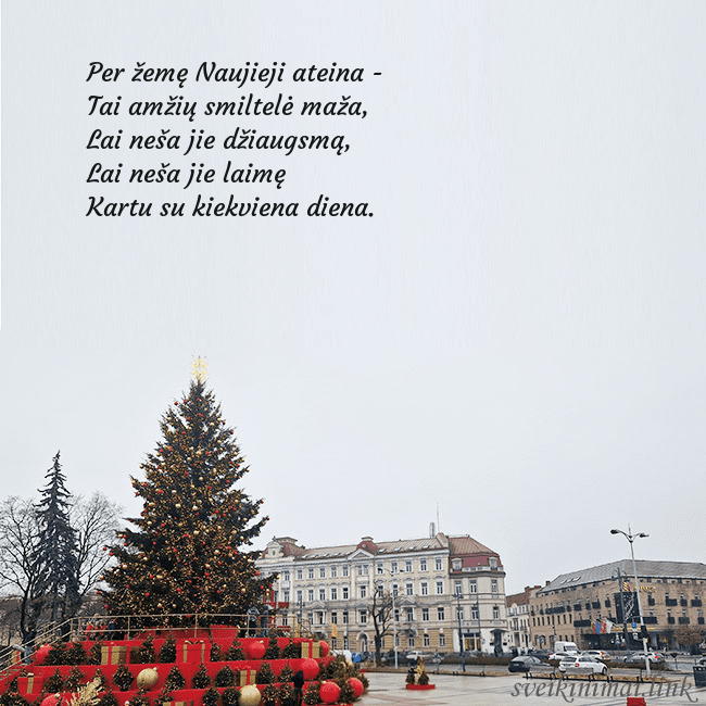 Vilniaus kalėdinė eglutė 2025