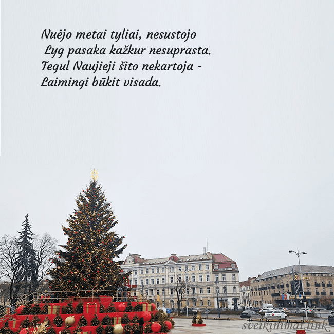 Vilniaus kalėdinė eglutė 2025