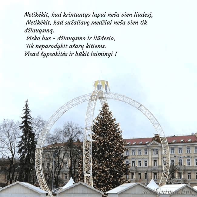 Kalėdos Vilniuje 2024 Netikėkit, kad krintantys lapai neša vien liūdesį, Kalėdos Vilniuje 2024