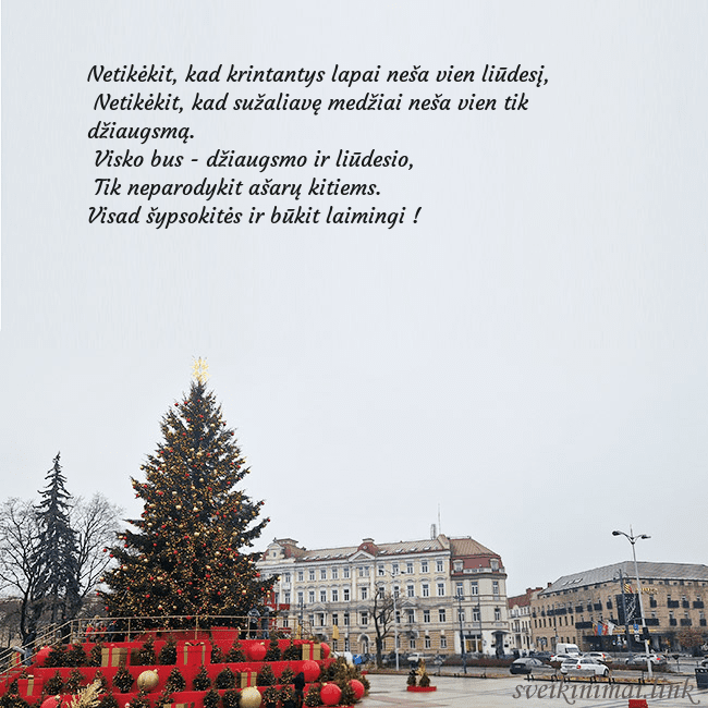 Vilniaus kalėdinė eglutė 2025